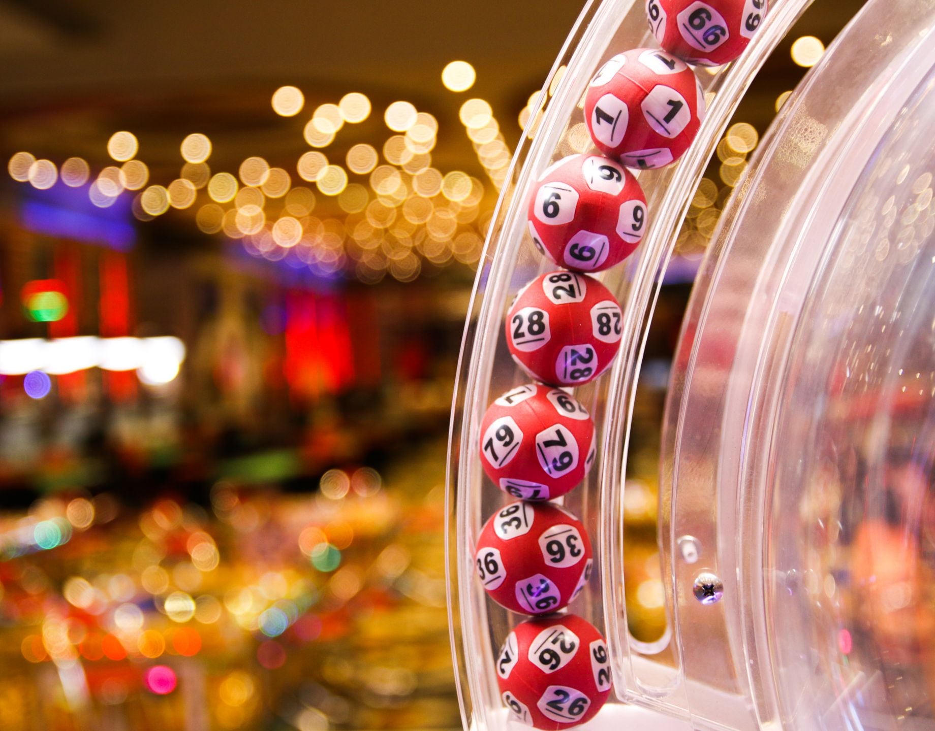 casino-games-bingo-lotto